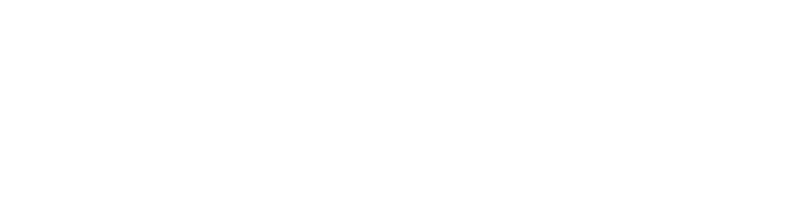 Council Opticians