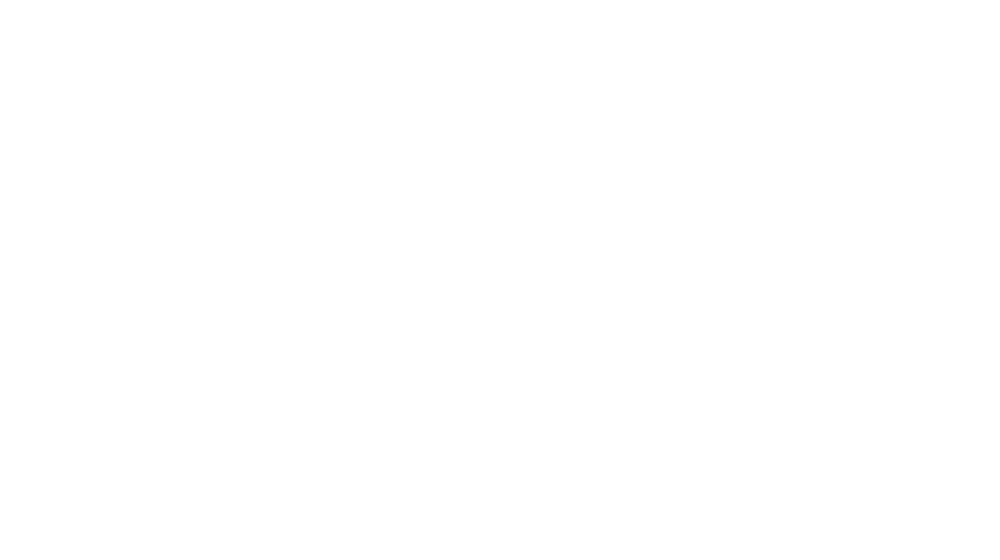Buffalo Optical Zilliox Logo Buffalo Optical Zilliox Logo