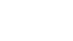 Whelpley & Paul Logo